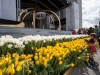 2014-06-01_COB_Dzien_Dziekczynienia_JGasiorowski_800px-1827