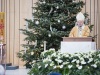 2020-12-27_COB_Swiatynia_Msza_za_Rodziny-800px-0997