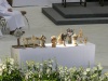 2020-06-07_COB_Swiatynia_13_Dzien_Dziekczynienia-AS-800px-1450160-2