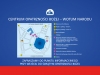 PLAN TERENU CENTRUM OPATRZNOŚCI BOŻEJ