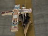 2023-06-04_COB_Swiatynia_XVI_Swieto_Dziekczynienia-JG-800px-5477